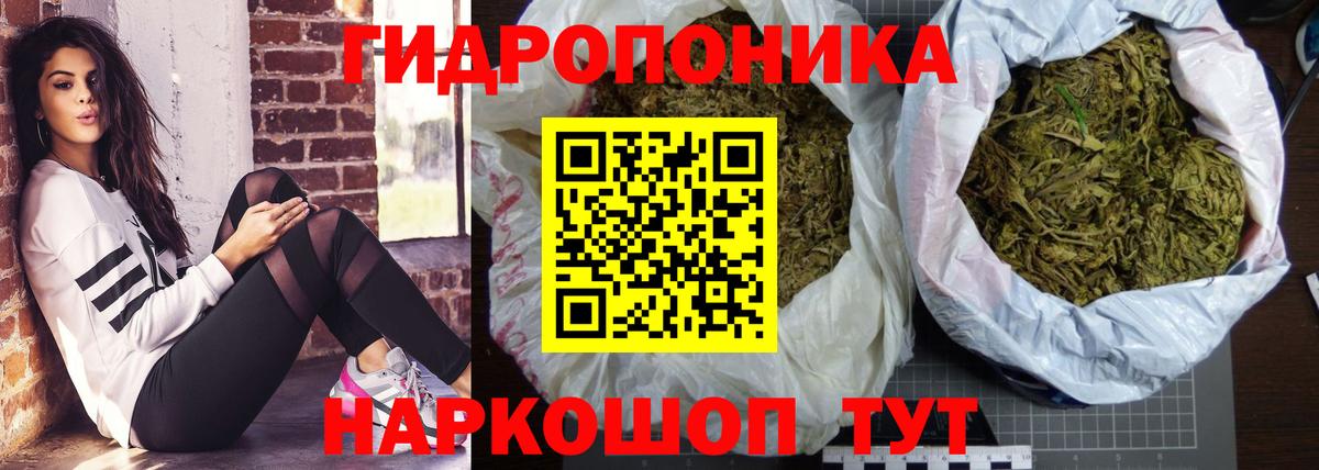 Бошки марихуана THC 21% Осинники